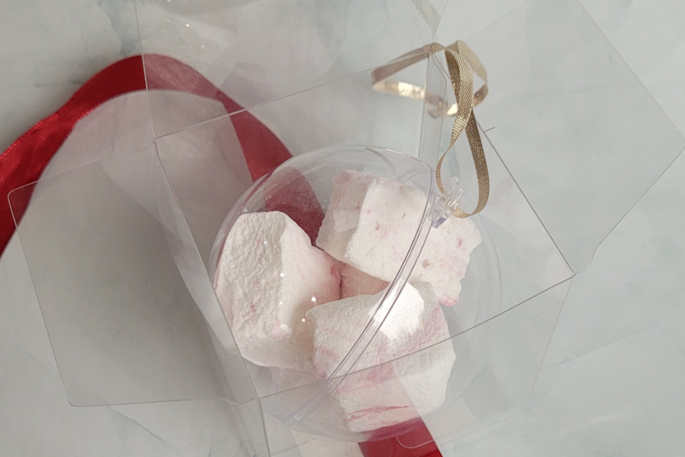 Christmas Ornament Gift Box