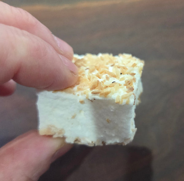 PASSOVER Toasted Coconut 12-Piece Box