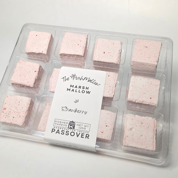 PASSOVER Strawberry 12-Piece Box