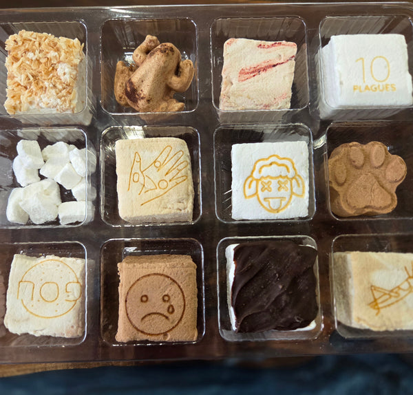 PASSOVER 12 Plagues Assortment Box