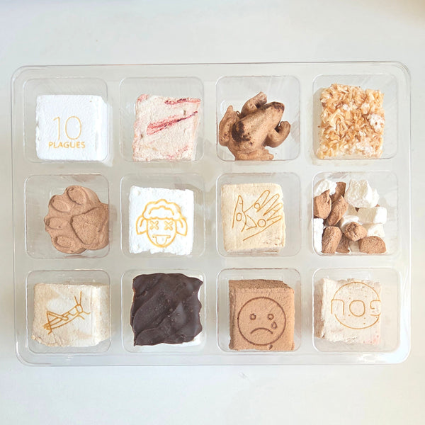 PASSOVER 10-Plagues 12-Piece Assortment Box